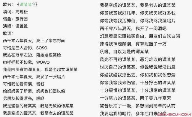 谭维维谭某某(谭维维谭某某事件)
