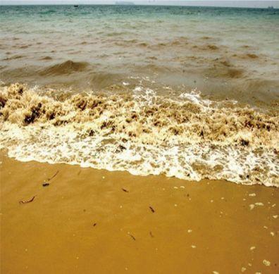 什么是赤潮，什么是赤潮,发生的原因是什么（科普，什么是赤潮）