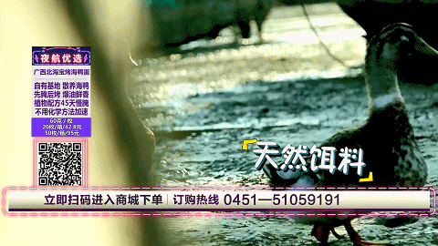 烤海鸭蛋是烤出来的吗，烤海鸭蛋是怎样制作（“弄潮鸭”生的海鸭蛋）