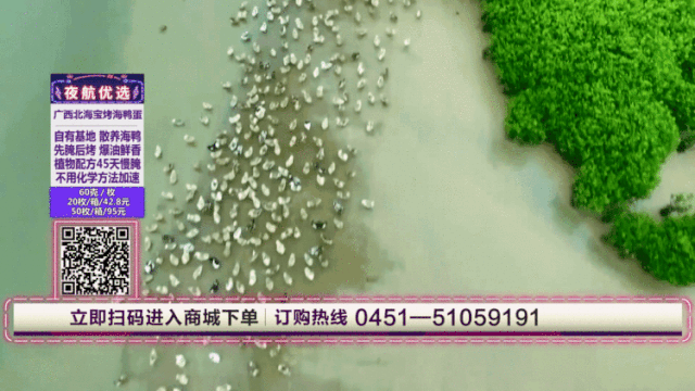 烤海鸭蛋是烤出来的吗，烤海鸭蛋是怎样制作（“弄潮鸭”生的海鸭蛋）