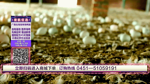 烤海鸭蛋是烤出来的吗，烤海鸭蛋是怎样制作（“弄潮鸭”生的海鸭蛋）