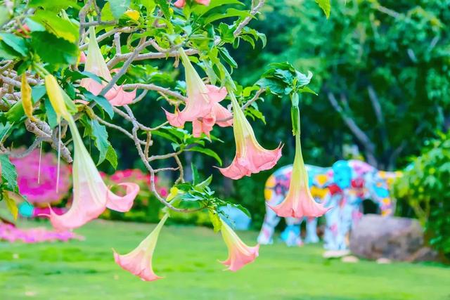 北京欢乐谷年卡，2020欢乐谷万圣节活动时间（无限次畅玩365天）