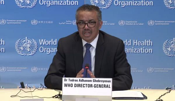 马说主要内容，马说主要内容50（信息量很大）