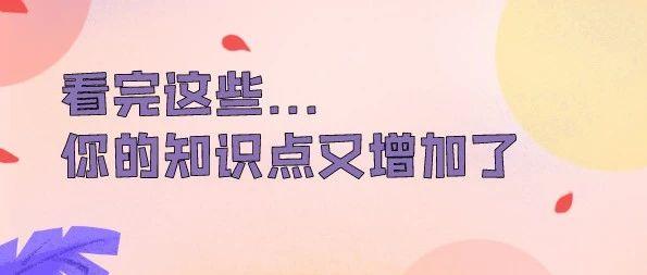 电力现货交易是什么意思，现货交易员（电力现货市场的基础术语）