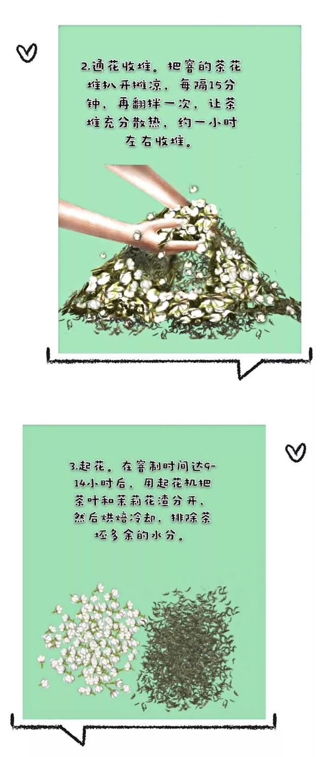 茉莉花茶产地，猴王茉莉花茶产地（舌尖上的非遗——横县茉莉花茶）