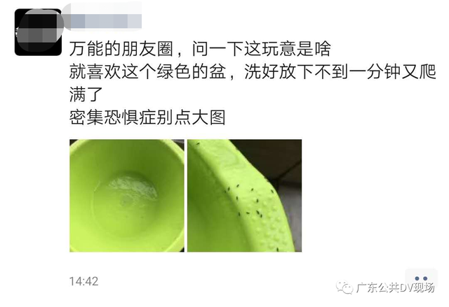 家里有绿色的小飞虫很小的，家里绿植有小飞虫怎么处理好（尤其偏爱黄、绿色）