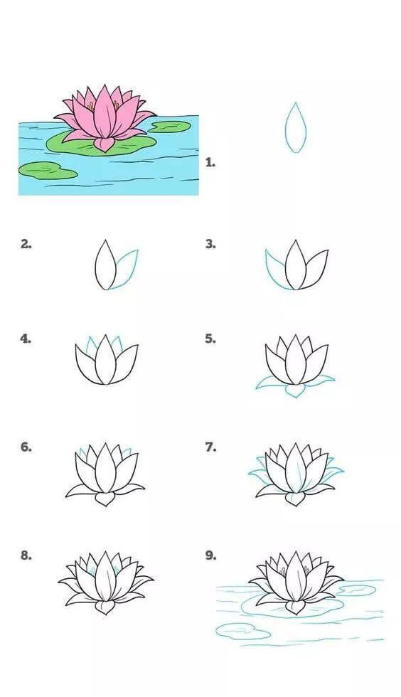 百合花的简笔画，简笔画-百合花的画法（每天学一幅简笔画--花怎么画）