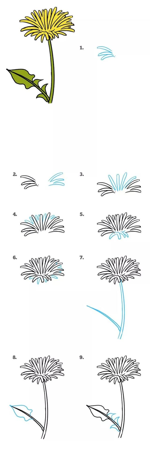 百合花的简笔画，简笔画-百合花的画法（每天学一幅简笔画--花怎么画）