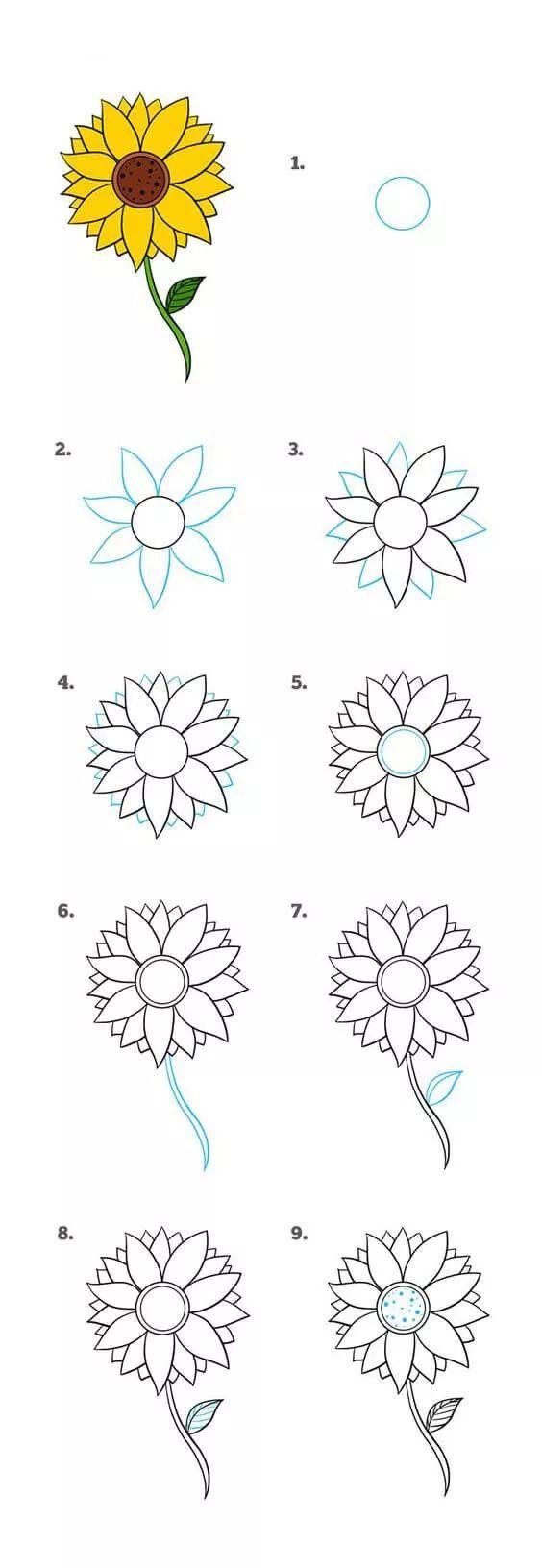 百合花的简笔画，简笔画-百合花的画法（每天学一幅简笔画--花怎么画）
