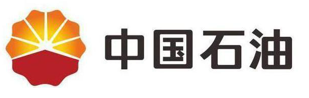中石油 发行价，中国石油股票发行价（从最高价48元一直跌到4.6元）