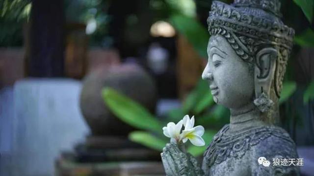 泼水节是什么时候，泼水节是几月几日（傣族泼水节）