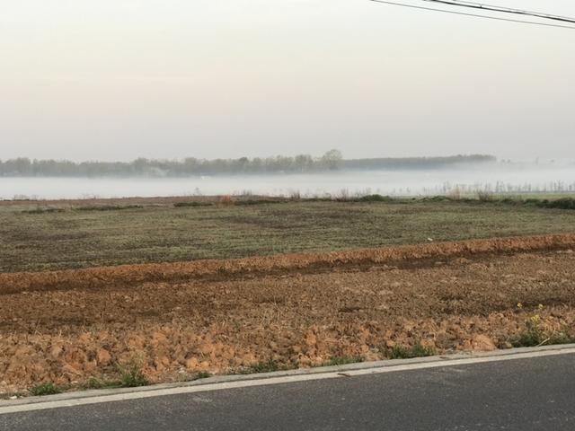 春季钓鱼的五个技巧分享，有哪些技巧值得钓友注意