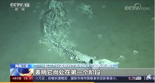 一鲸落万物生什么意思，一鲸落万物生一念山河成一念百草生（为什么说
