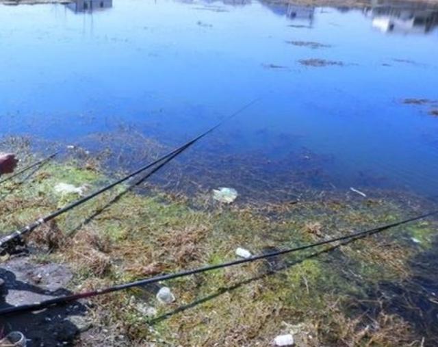 如何钓草鱼，怎样钓大草鱼（这些技巧不容钓友忽视）