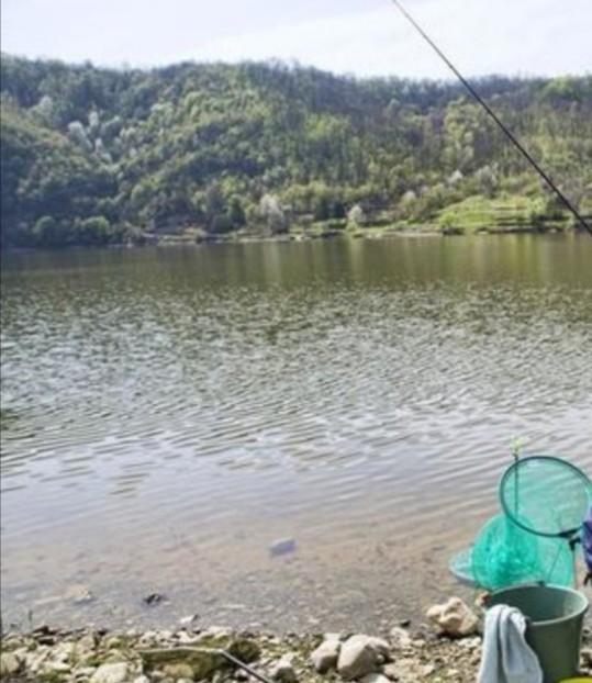 如何钓草鱼，怎样钓大草鱼（这些技巧不容钓友忽视）