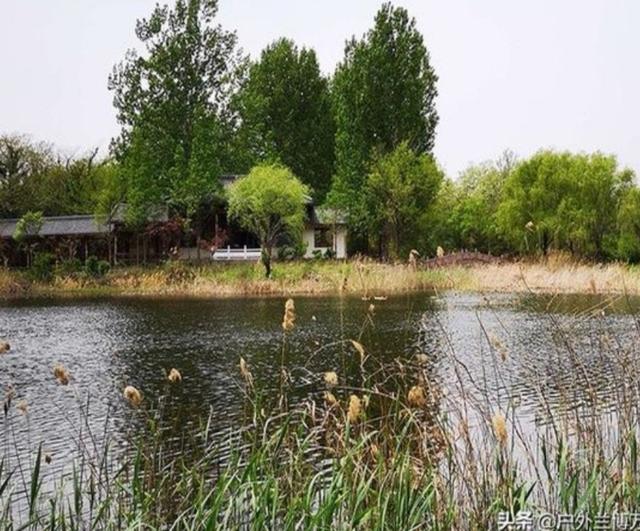 如何钓草鱼，怎样钓大草鱼（这些技巧不容钓友忽视）