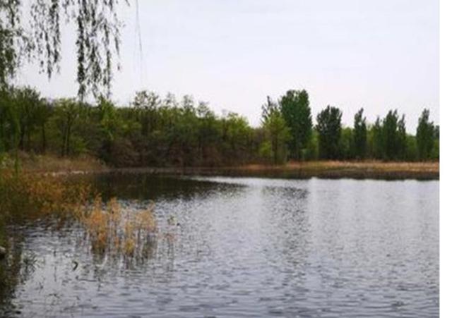 如何钓草鱼，怎样钓大草鱼（这些技巧不容钓友忽视）