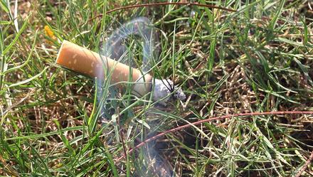 香格里拉大火原因，云南香格里拉森林大火原因（香格里拉“3·29”森林火灾原因查明）