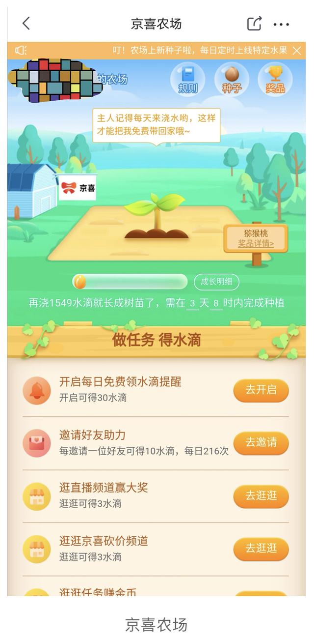 国内垂直电商平台有哪些，垂直电商平台有哪些（京东京喜App购物体验分析）