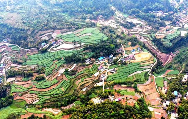 禾加一笔是什么字，禾字加一笔是什么字（乡村变美、群众变富...看）