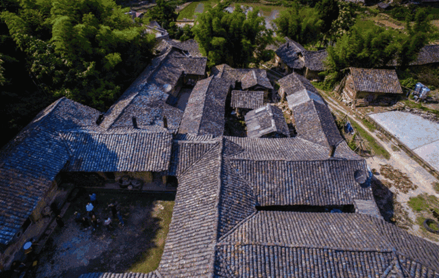 禾加一笔是什么字，禾字加一笔是什么字（乡村变美、群众变富...看）