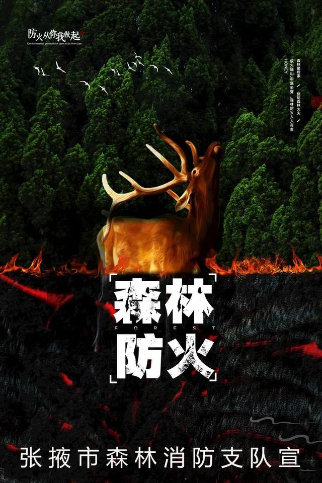 森林防火顺口溜，森林防火顺口溜5句是什么（应急科普—森林防火顺口溜）
