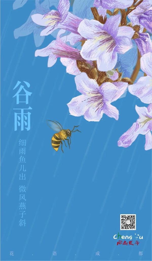 泡桐花的花语，白花泡桐花语（细雨鱼儿出）