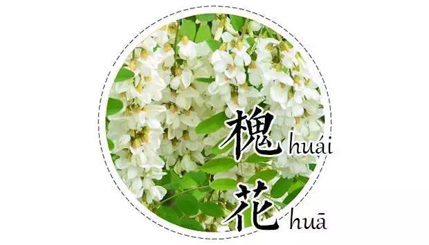 河南洋槐花美食，吃洋槐花的季节到了