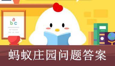 宠物龙猫是猫吗，宠物龙猫是猫吗蚂蚁庄园（蚂蚁庄园龙猫答案最新10月19日）