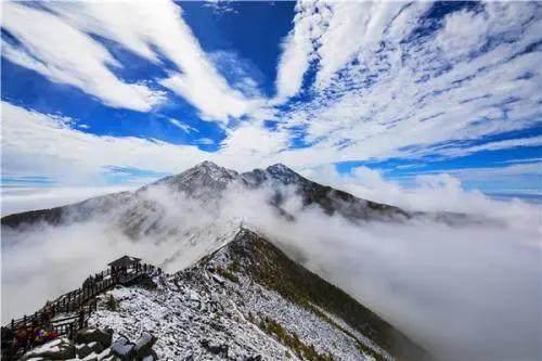 秦岭四宝是什么，秦岭四宝是指什么（今天，和小编一起来涨姿势）