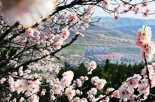 银川五一旅行攻略，银川五一旅游攻略（这些银川周边的隐世之地）