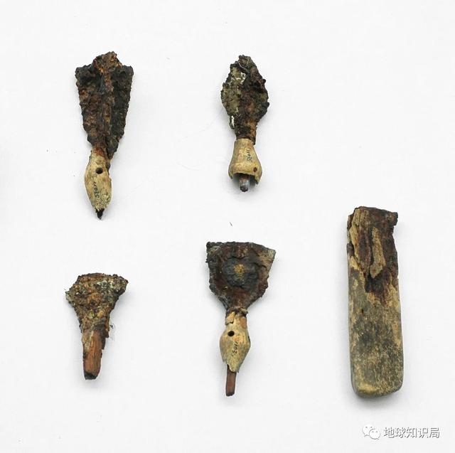 鲜卑人从哪里来呢，鲜卑人，从哪里来