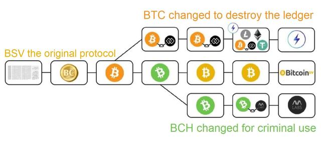 btc是什么币，Btc是什么币（一文彻底读懂BTC的“祖孙三代”）