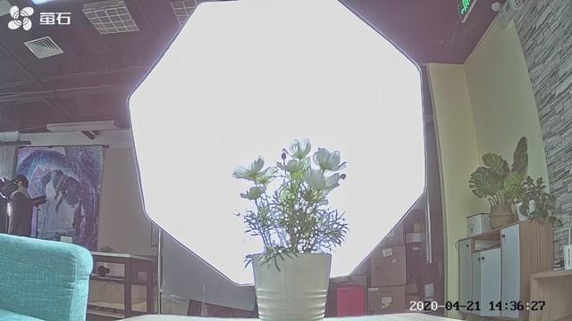 萤石云视频怎么看回放，监控永久免费云存储（萤石C6CN标准版智能家居摄像机评测）