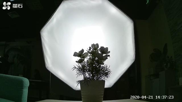 萤石云视频怎么看回放，监控永久免费云存储（萤石C6CN标准版智能家居摄像机评测）