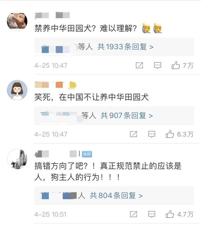 中华田园犬为什么禁养，20元小土狗出售（是对中华田园犬最好的“正名”）