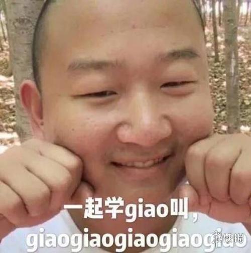 giao是什么意思，giaogiao是什么意思（一giao我里giaogiao是什么意思）