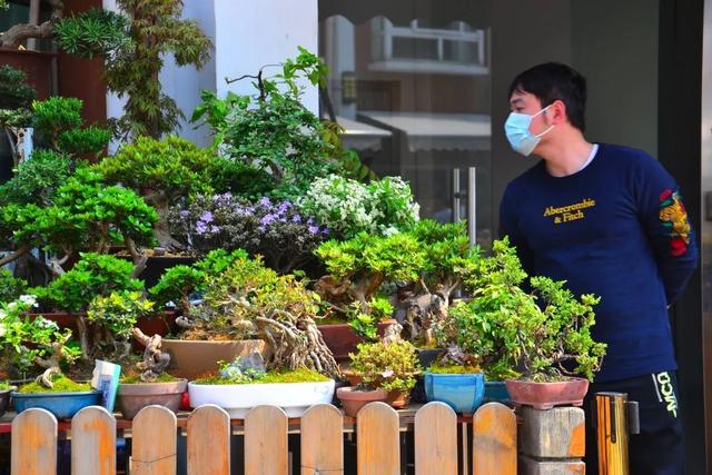 哪里的观赏鱼最便宜，多肉10元7盆、观赏鱼低至5角……普陀人最爱的“宝藏”市场“五一”等你来逛→