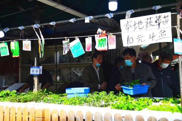 哪里的观赏鱼最便宜，多肉10元7盆、观赏鱼低至5角……普陀人最爱的“宝藏”市场“五一”等你来逛→