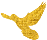 白米粥的作用与功效，白米粥的功效以及作用（打破谣言——喝粥能养生、养胃）