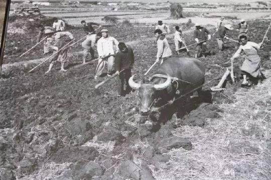 五一国际劳动节，世界各国的五一劳动节（关于五一国际劳动节）