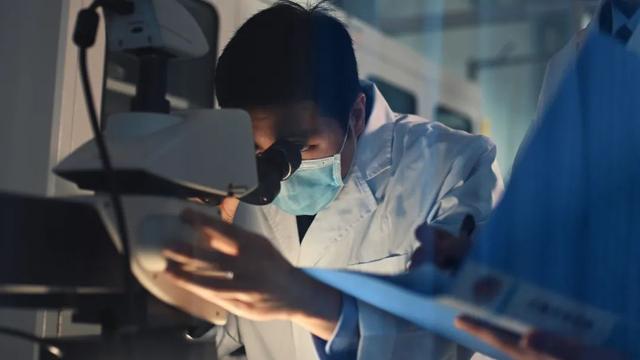 护字成语大全四个字，护字成语大全四个字疫情（你想到的是和蜀黍一样吗）