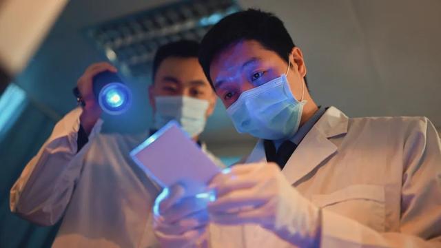 护字成语大全四个字，护字成语大全四个字疫情（你想到的是和蜀黍一样吗）