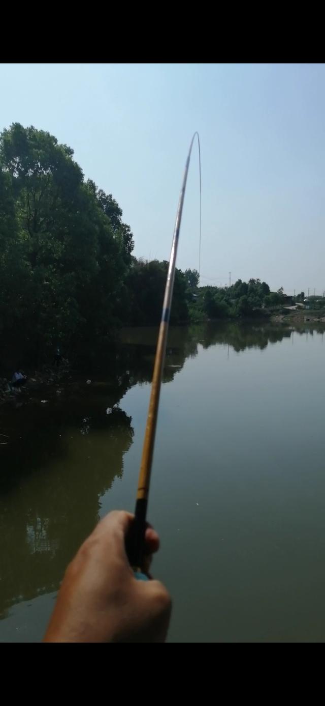 野钓如何钓小鲫鱼，钓小鲫鱼用什么饵料（老钓友多年经验传授你）