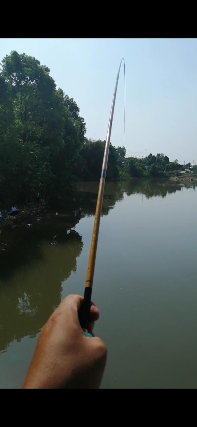 野钓如何钓小鲫鱼，钓小鲫鱼用什么饵料（老钓友多年经验传授你）