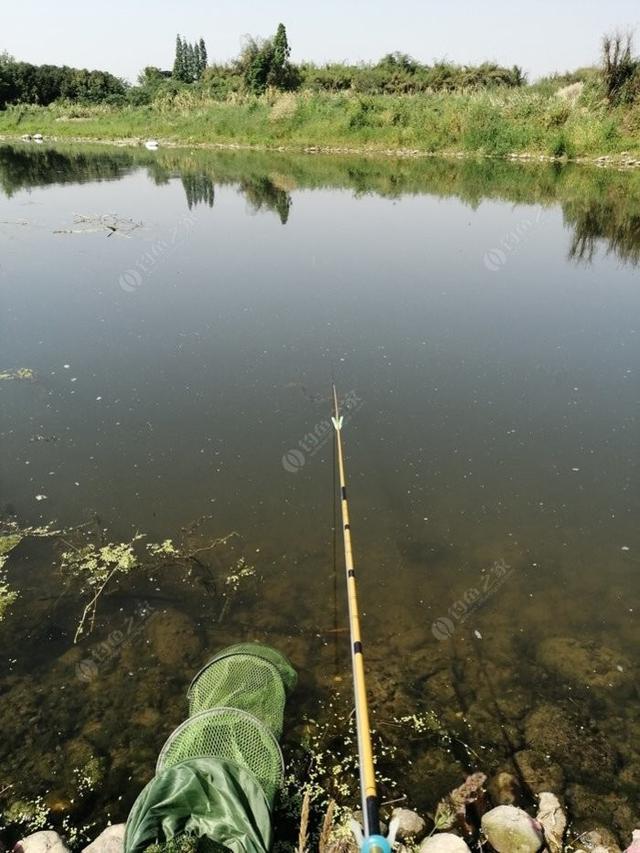 野钓如何钓小鲫鱼，钓小鲫鱼用什么饵料（老钓友多年经验传授你）