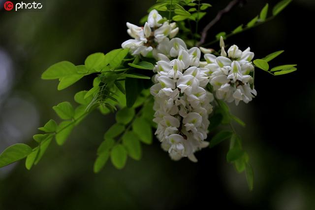 今天什么时候立夏 2020年立夏是哪天几月几号，今天什么时候立夏（纷纷红紫已成尘）