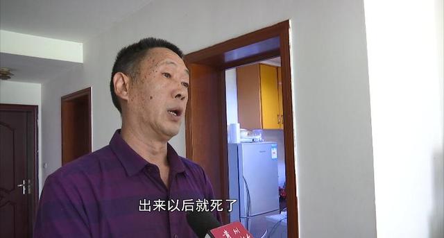 飞蚁为什么会出现在家中，家里为什么有飞蚂蚁（贵阳市民家里出现“小虫子”）