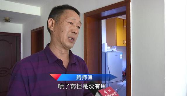 飞蚁为什么会出现在家中，家里为什么有飞蚂蚁（贵阳市民家里出现“小虫子”）