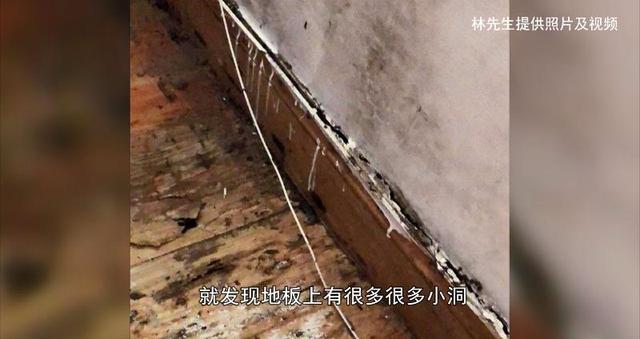 飞蚁为什么会出现在家中，家里为什么有飞蚂蚁（贵阳市民家里出现“小虫子”）